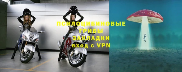 a pvp Абаза