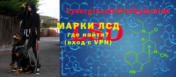 ПСИЛОЦИБИНОВЫЕ ГРИБЫ Осинники